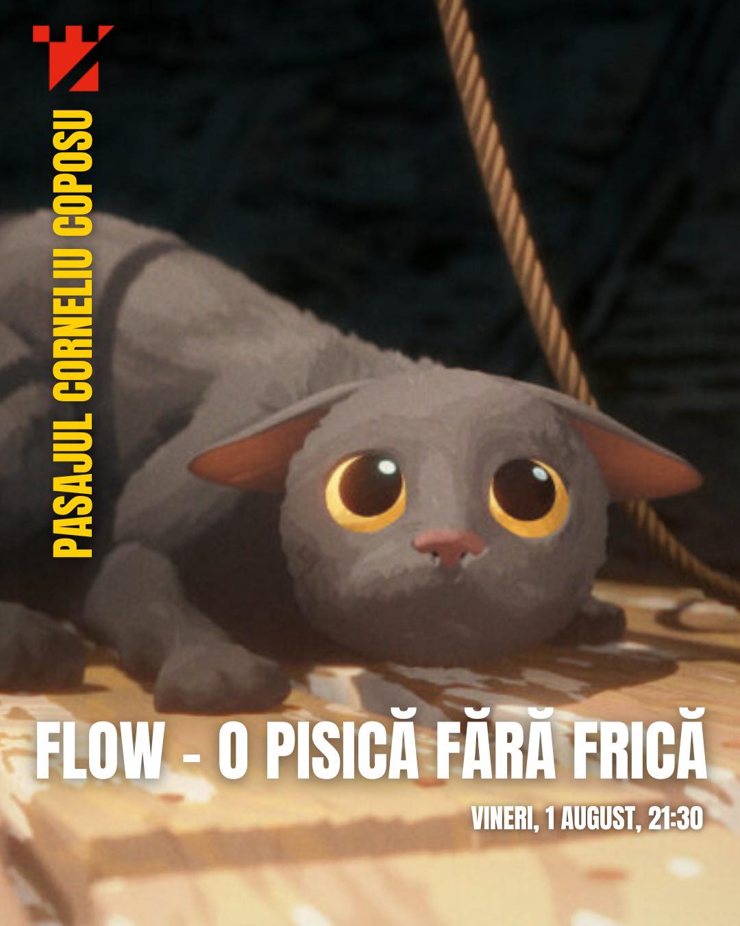 film1.jpg