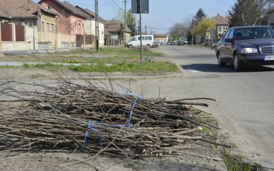 Novemberig ne tegyék ki a zöldhulladékot Nagykárolyban