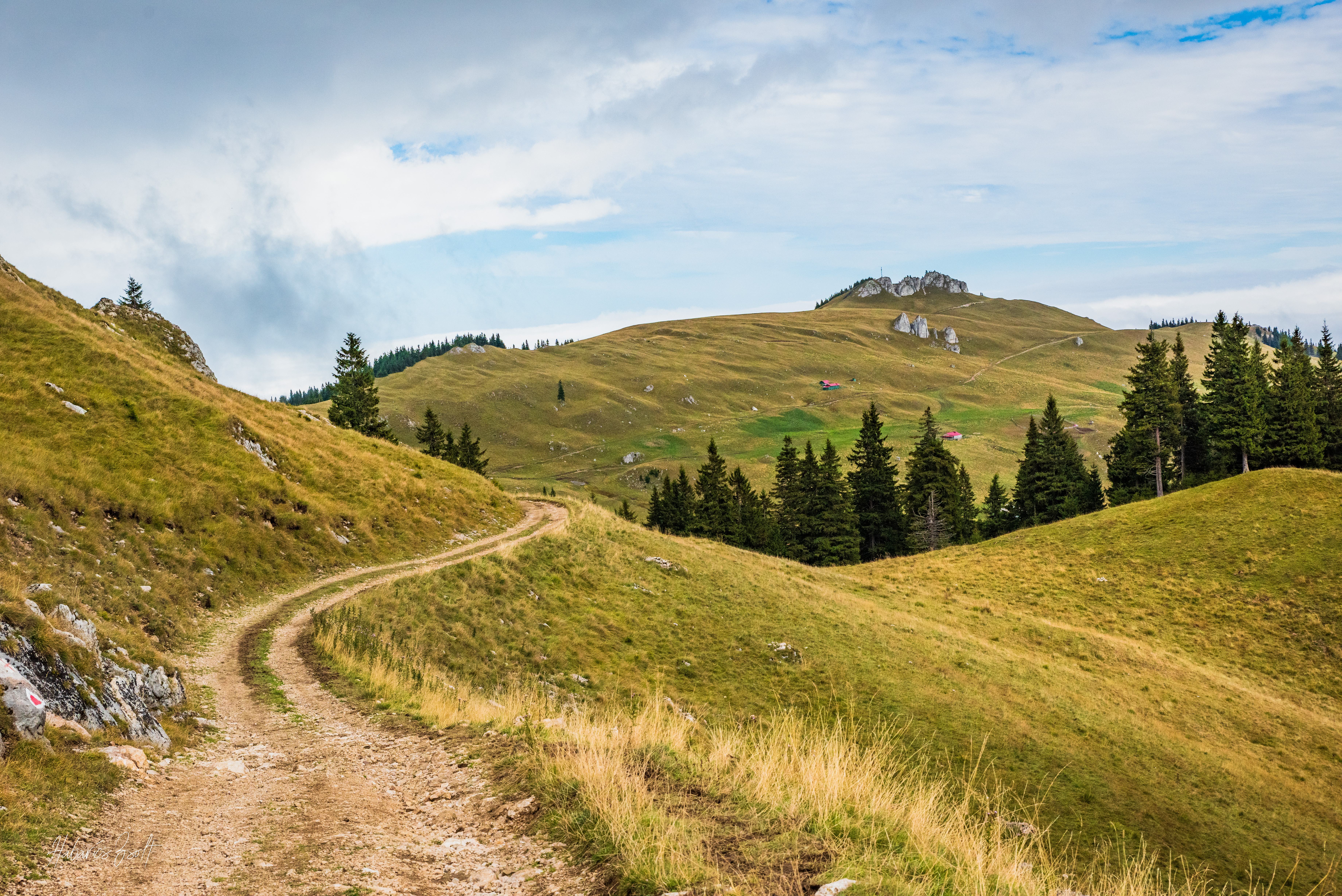 hirek/2021/november/21/7-raro-papjai-felol-erkezve.jpg