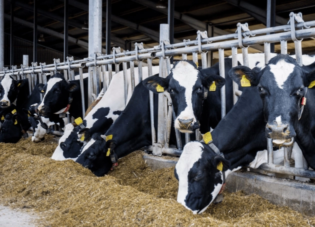 Megkezdődött az agrártámogatások előlegének folyósítása