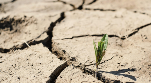 2027 lehet a valaha mért legmelegebb év