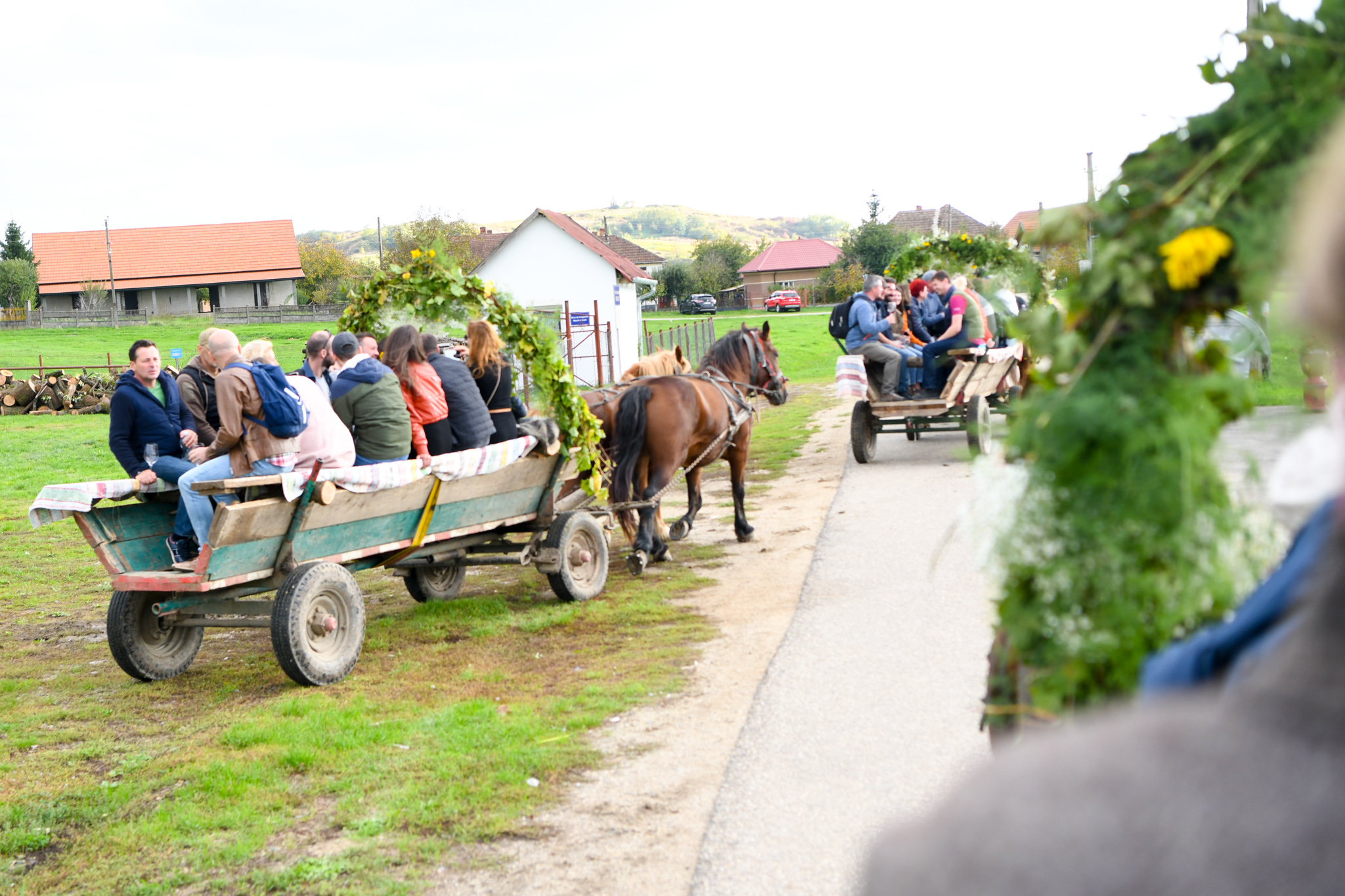 hirek/2024/10-oktober/varazslatos-pince-beltek/czl-9564.JPG