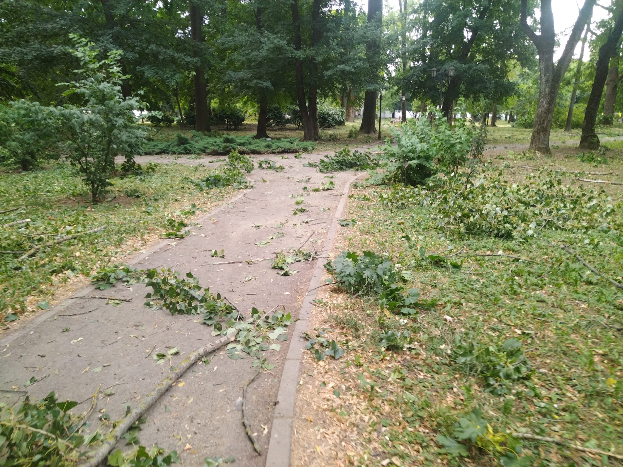 hirek/2025/julius/kastelypark2.jpg