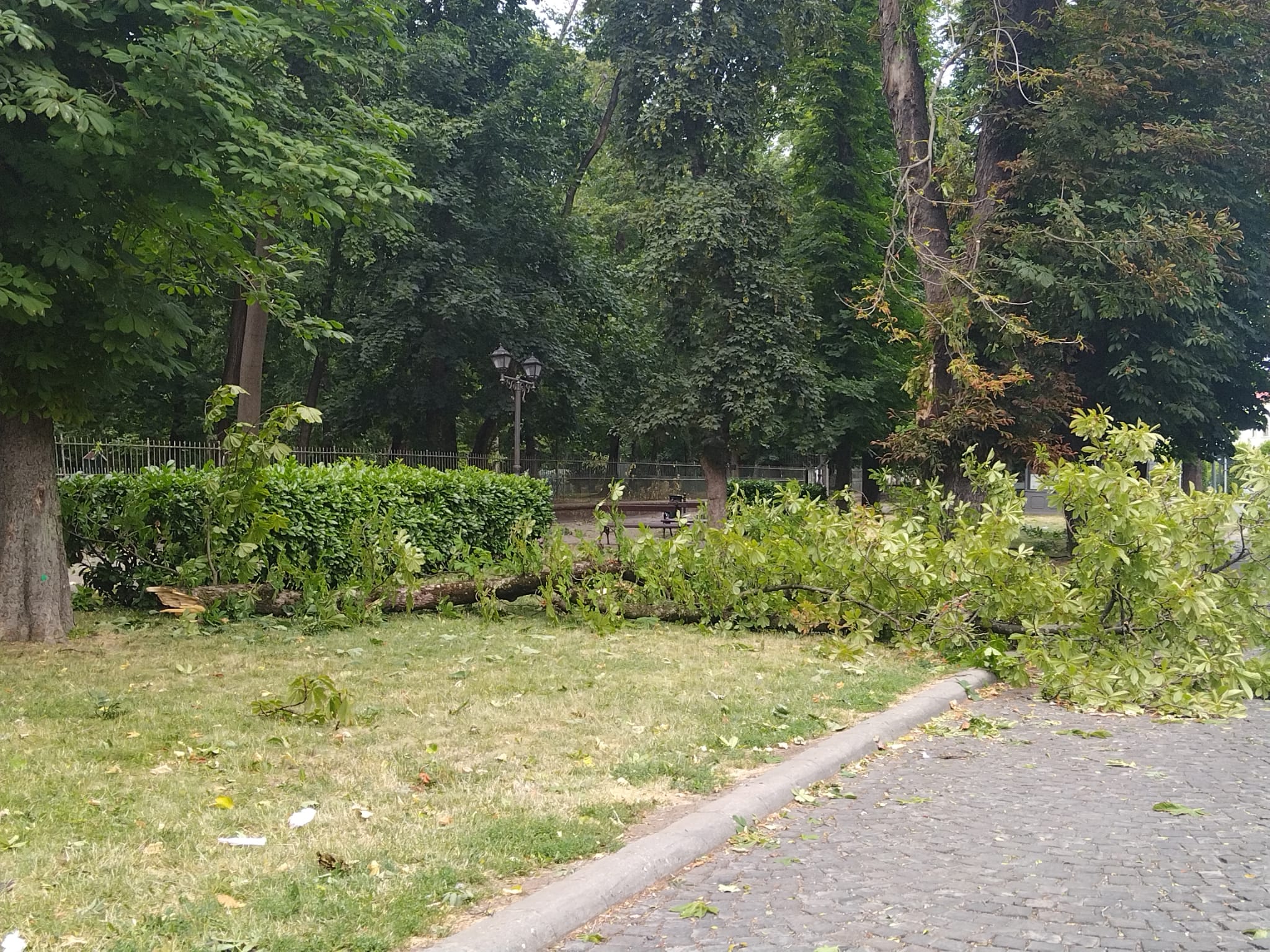 hirek/2025/julius/kastelypark3.jpg