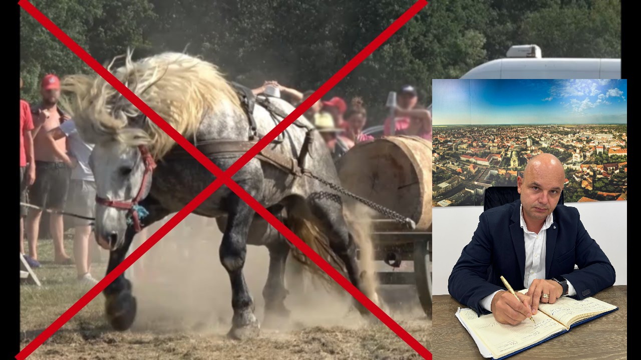 hirek/2025/szeptember/tilos-a-felesleges-igavonasi-proba-a-lovas-esemenyeken-1.jpg