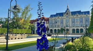 Mégiscsak lesz saját parkolója a Pannóniának