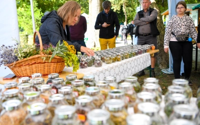 Gyógy– és fűszernövények, no meg a Falusi konyhák emlékezete a PMN–en
