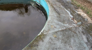 Strandokat, medencéket, játszótereket ellenőrzött a szatmári fogyasztóvédelem