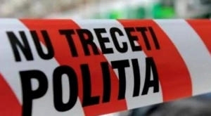 18 éves suhanc verte agyon a tehénfarm csordását