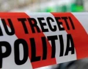 18 éves suhanc verte agyon a tehénfarm csordását