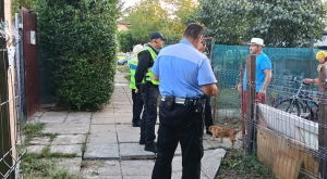 Toamnei utca: razzia a szociális lakásoknál