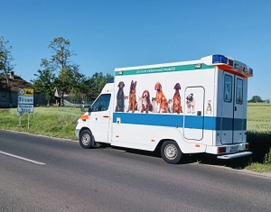 Zajlanak az ebsterilizálások a megyében