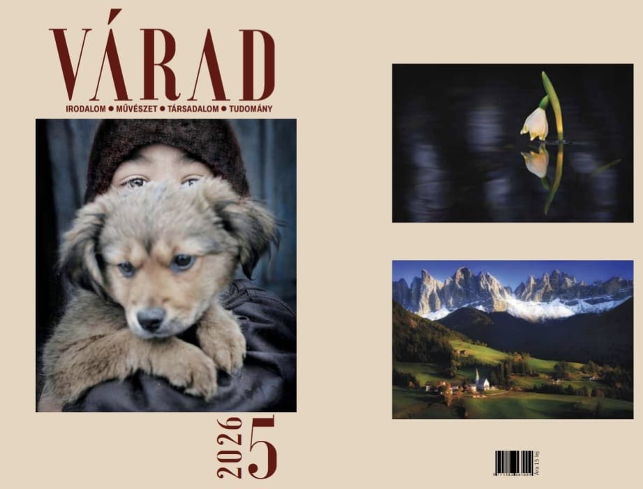 varad2a-1