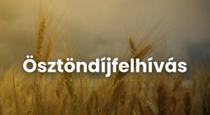 Ösztöndíjasok kerestetnek