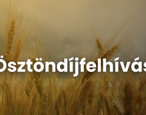 Ösztöndíjasok kerestetnek
