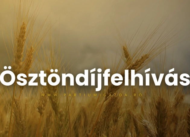 Ösztöndíjasok kerestetnek
