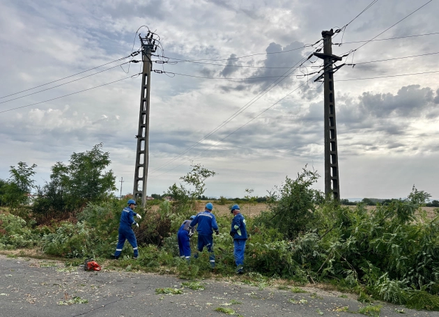 Tisztítja a vezetékek mentét az Electrica