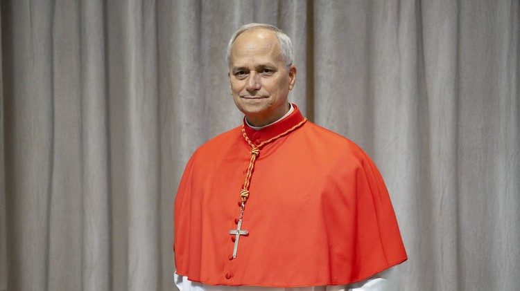 robert-francis-prevost-xiv-leo-papa.jpeg