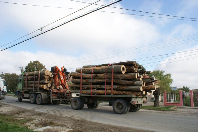 uploads/2020/01/tuzifa-noszfu.jpg